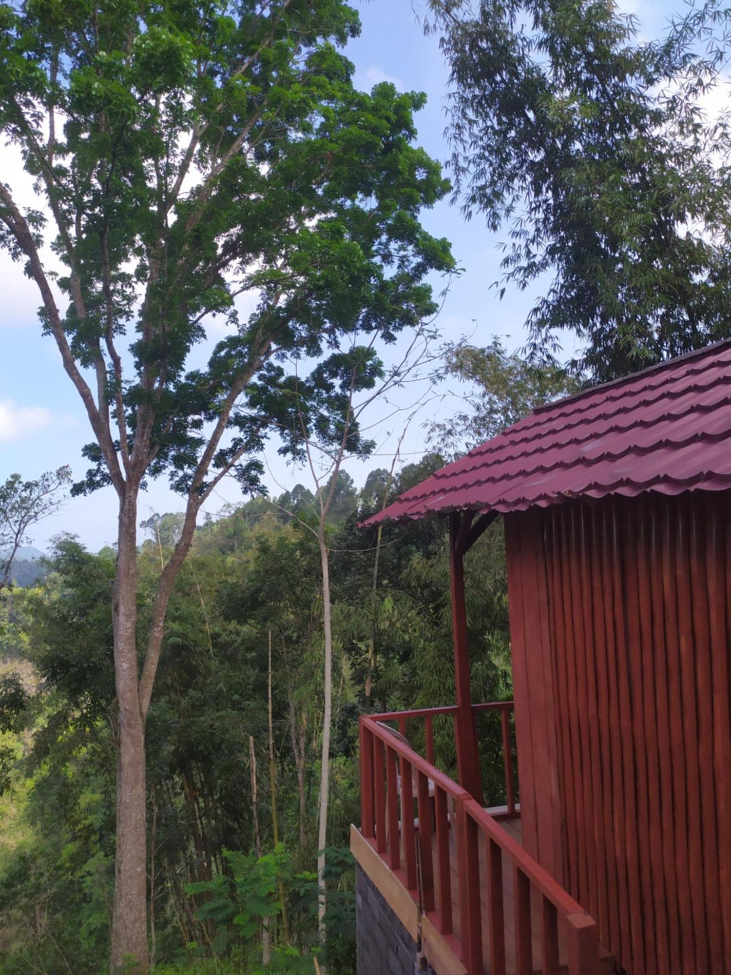 Happy Monkeys Village Sidomukti Екстериор снимка